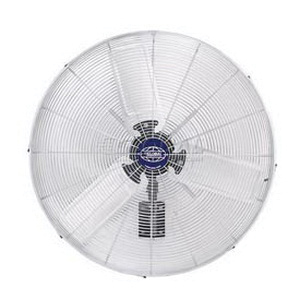 Motor Fans