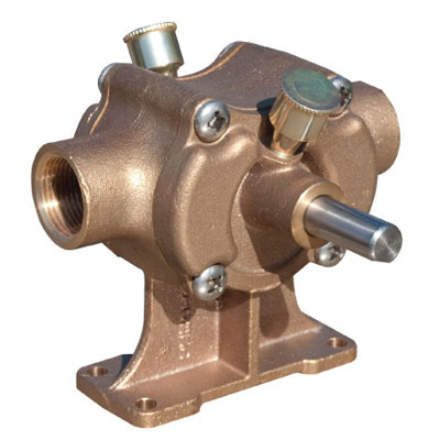 Transfer Pumps