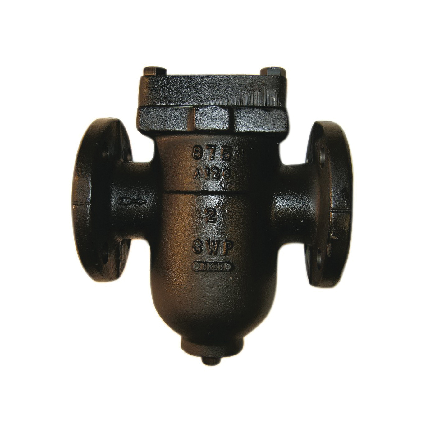 Specialty Valve Strainers