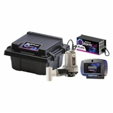 Pumps & Motors