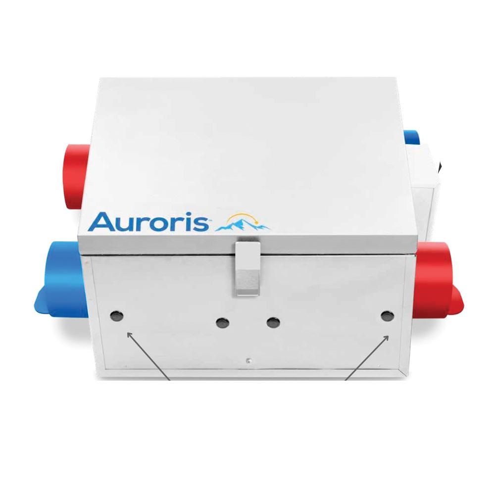 Auroris™ EHO-300