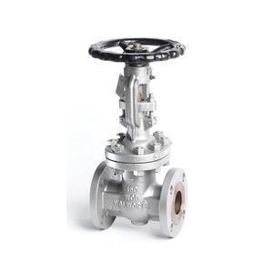 BERIC Valves® 101RFAA08H3 BRV101-RF-AA08-H-3