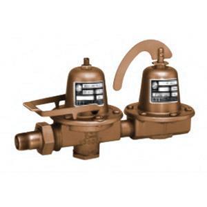 Bell & Gossett 110197LF