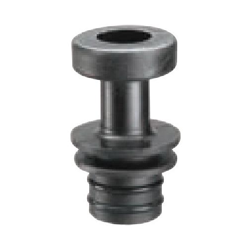 Everpure EV313716 EVP3137-16