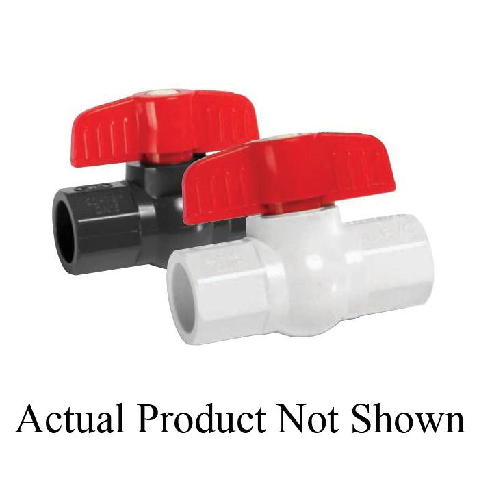 IPEX® 052282 PVCMPAW1-2