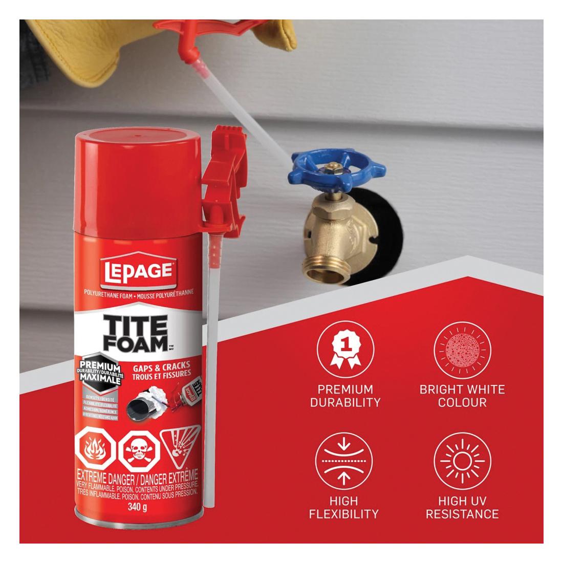 LEPAGE® 2838724 LPG2838724
