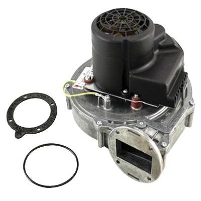 Lochinvar® 100145008 LVR100145008