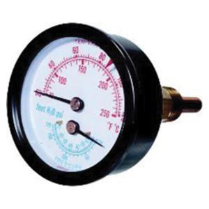 Lochinvar&reg; 100208152