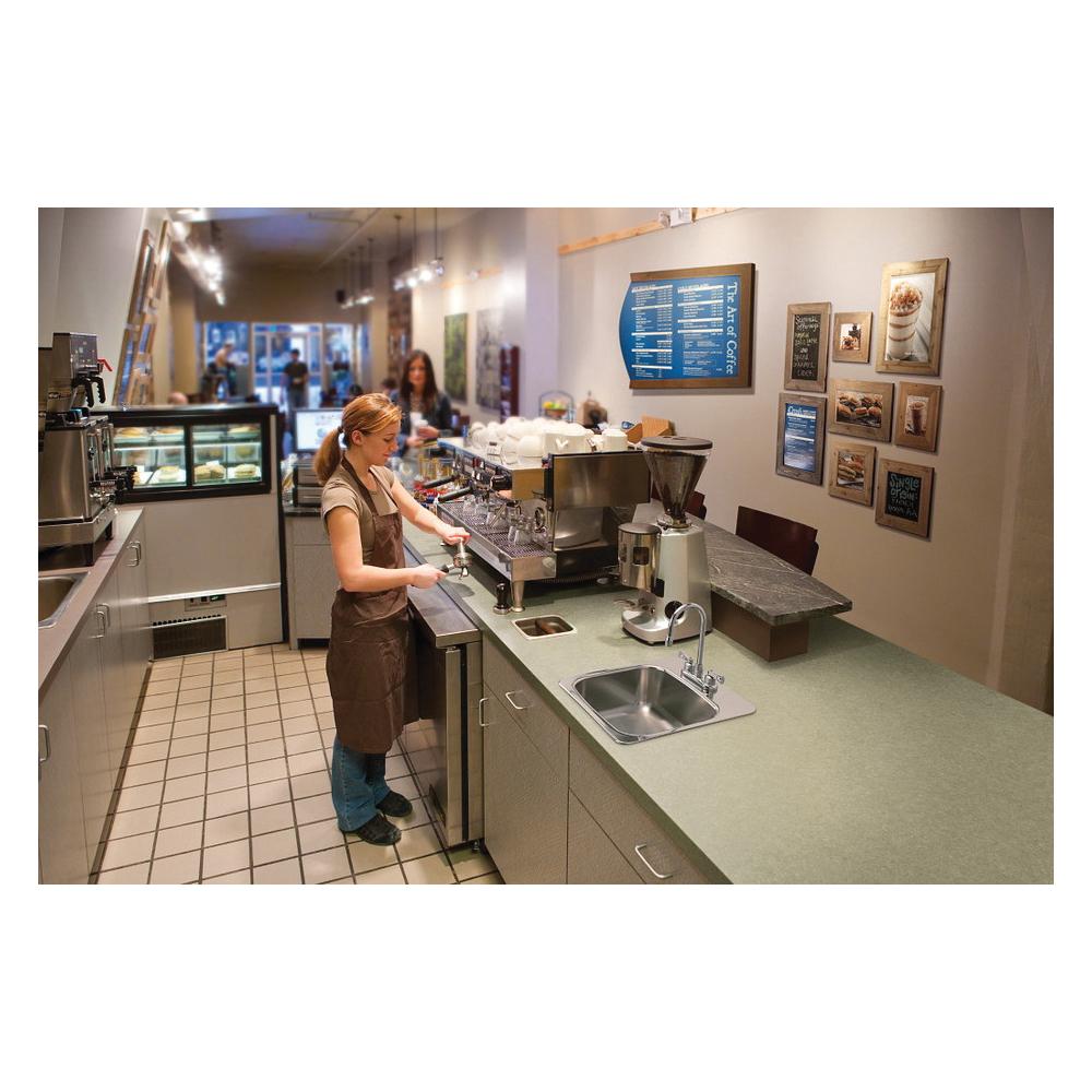 MOEN® 8270 MON8270