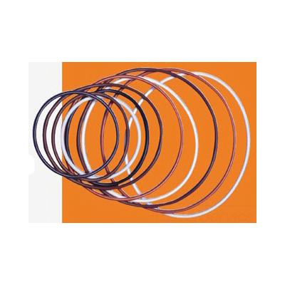 Everpure 158096 EVP1580-96