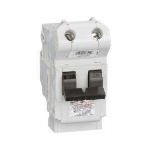 Schneider Electric NA2P125