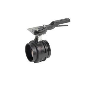 Victaulic&reg; 761S2-8