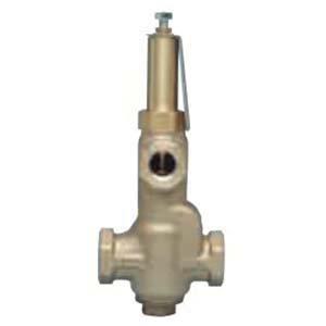WATTS® 0274300