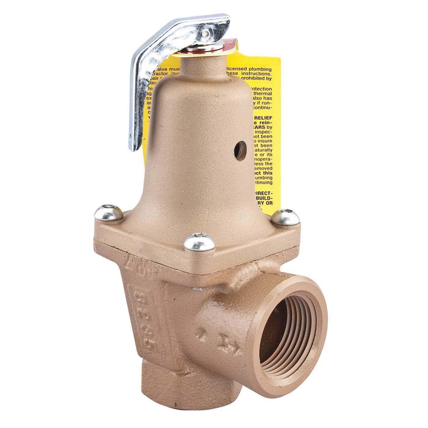 WATTS® 0382821