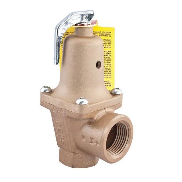 WATTS® 0383542