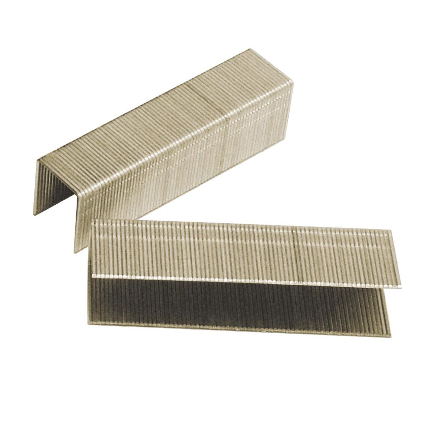 WATTS® 81004290