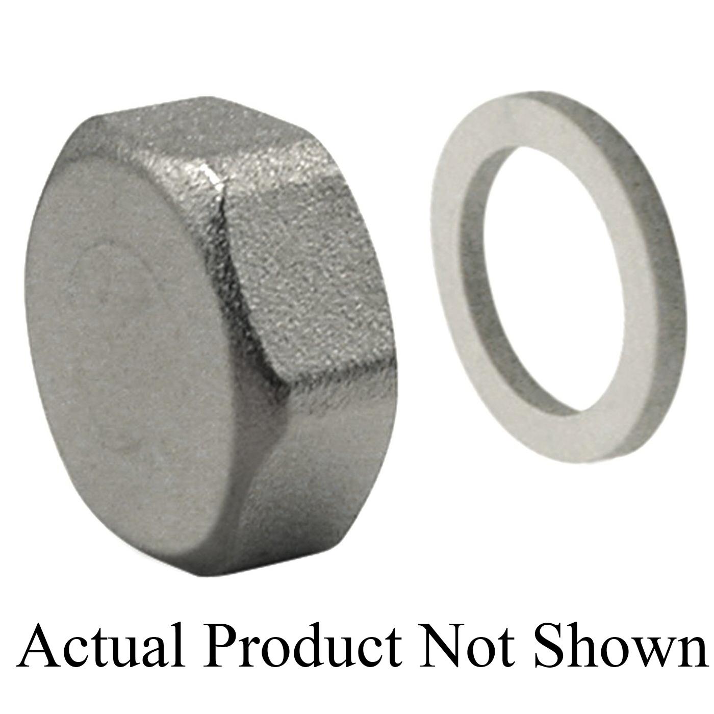 WATTS® 81005425