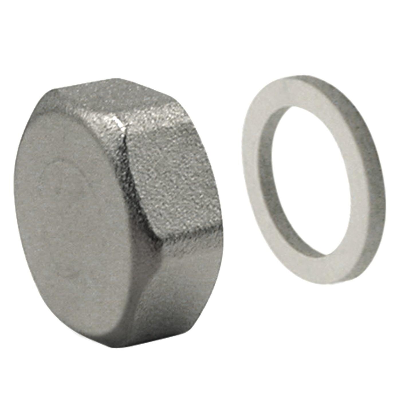 WATTS® 81005479
