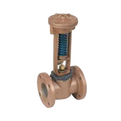 WATTS® F127SS-206-3