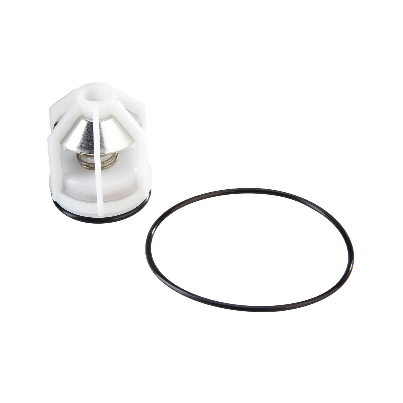 WATTS&reg; RK 009M2-CK1 1