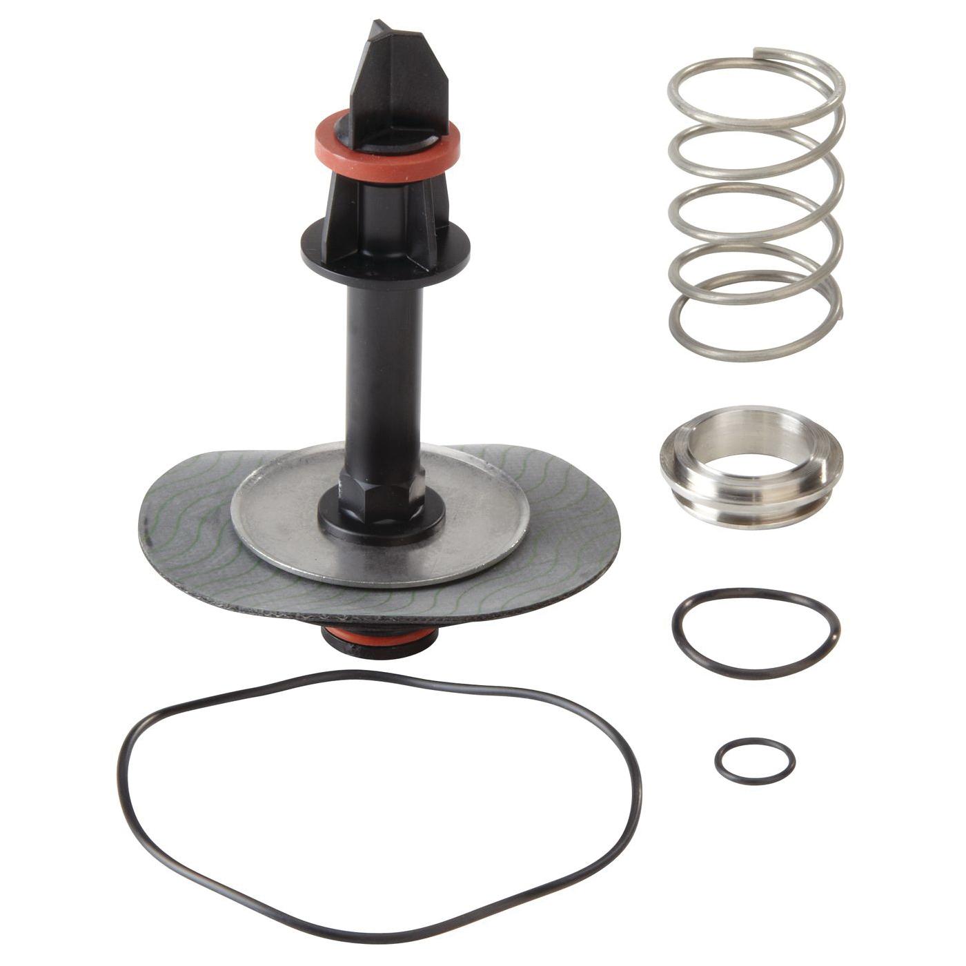 WATTS&reg; RK 009M2-VT 2